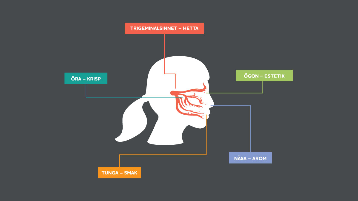 Smak - så funkar det