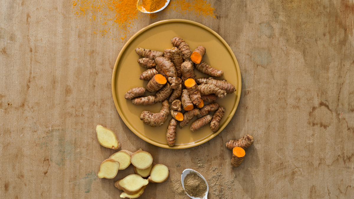 Sommarens smak - rhizomer