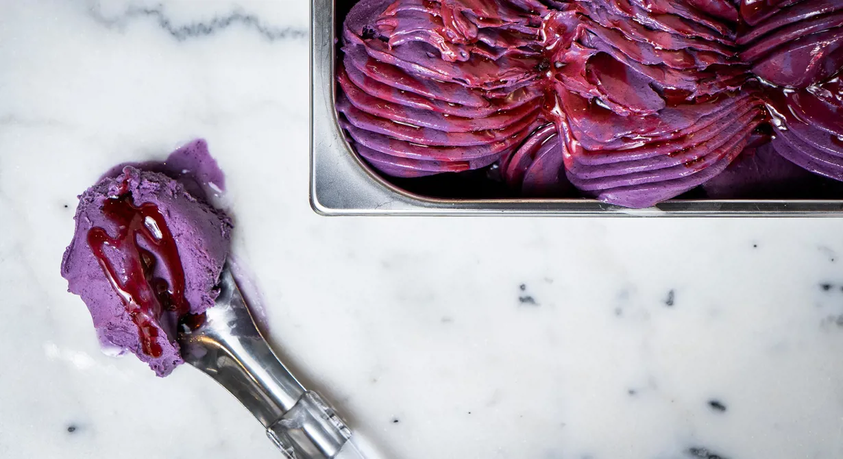 Krämig gelato med kraftig blåbärssmak som blir en riktig färgklick i gelatodisken. Härlig gelato att ha i butiken på sommarhalvåret samt en perfekt grund i vackra glasstårtor.