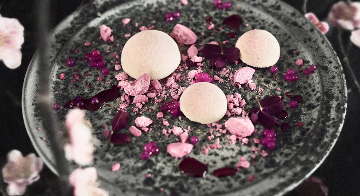 En fluffig bavaroise med vit choklad och svartvinbärsblad bildar basen i denna sötsyrliga hyllning till vårens primörer. Spänstig rabarber och färgstark rödbeta ger pigment åt en rosa explosion på tallriken, som dekoreras med krossade, starkt rosa maränger.