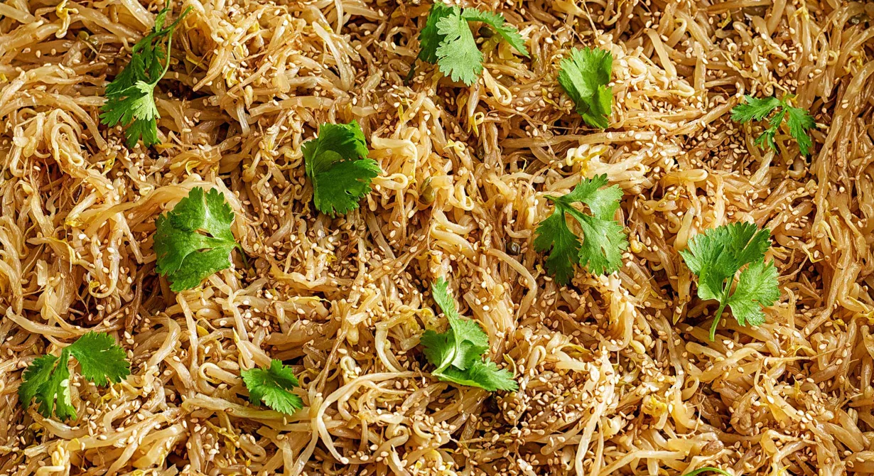 Böngroddar och purjolök är basen i den här goda salladen med smak av sweet chili. De asiatiska smakerna förstärks när du toppar salladen med sesamfrön och färsk koriander.
