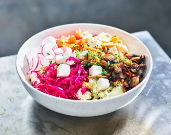 Bowl med krossad potatis och vitost